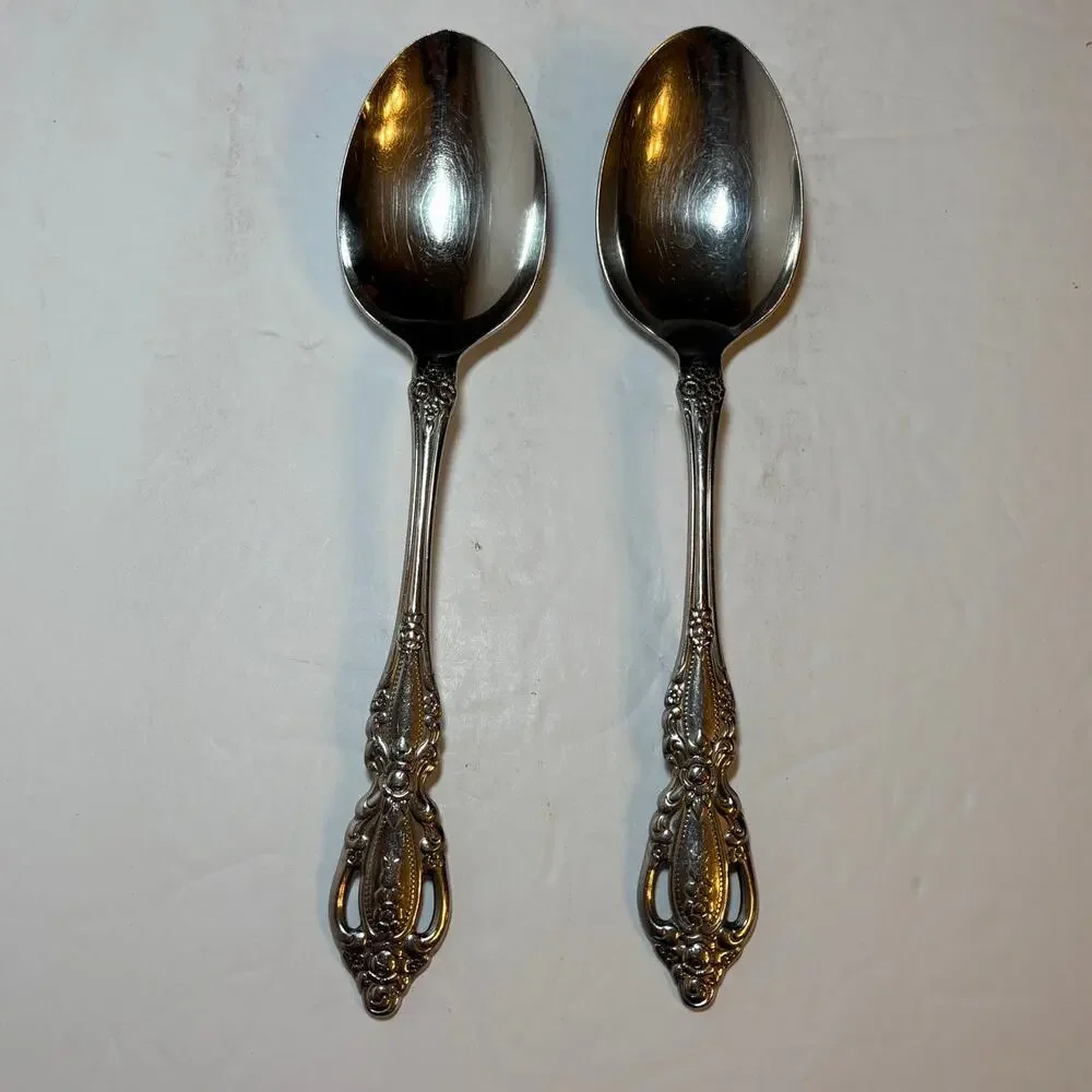 Set 2 Oneida RAPHAEL Stainless Distinction Deluxe Glossy Serving Spoons
